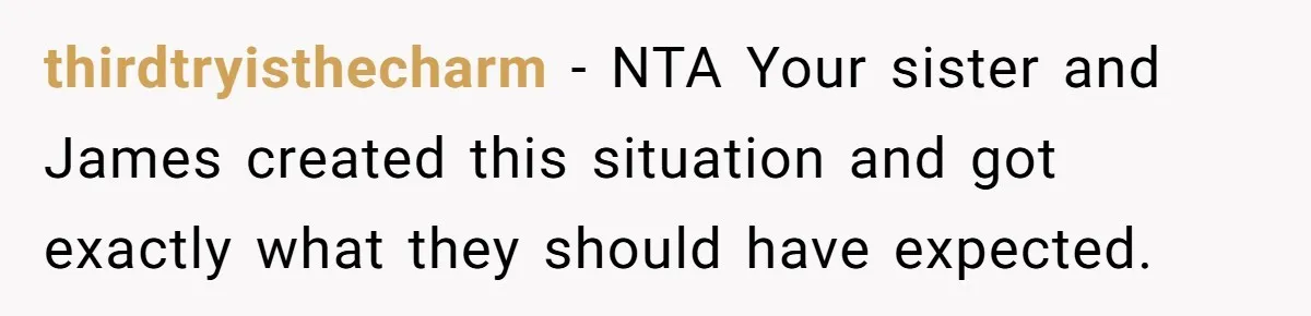 thirdtryisthecharm − NTA Your sister and James created this situation and got exactly what they should have expected.