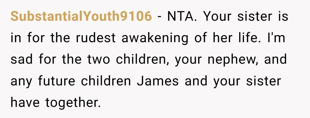 SubstantialYouth9106 − NTA. Your sister is in for the rudest awakening of her life. I'm sad for the two children, your nephew, and any future children James and your sister...