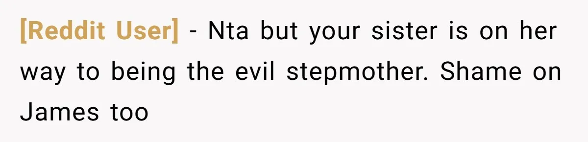 [Reddit User] − Nta but your sister is on her way to being the evil stepmother. Shame on James too
