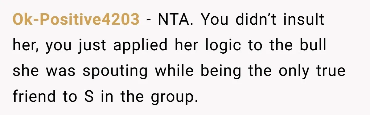 Ok-Positive4203 − NTA. You didn’t insult her, you just applied her logic to the bull she was spouting while being the only true friend to S in the group.
