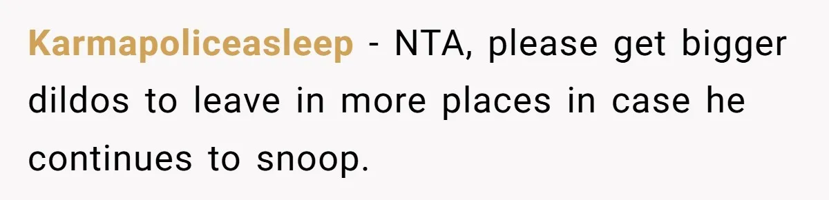 Karmapoliceasleep − NTA, please get bigger dildos to leave in more places in case he continues to snoop.
