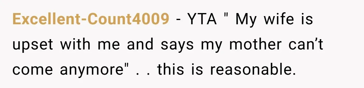Excellent-Count4009 - YTA " My wife is upset with me and says my mother can’t come anymore" . . this is reasonable.