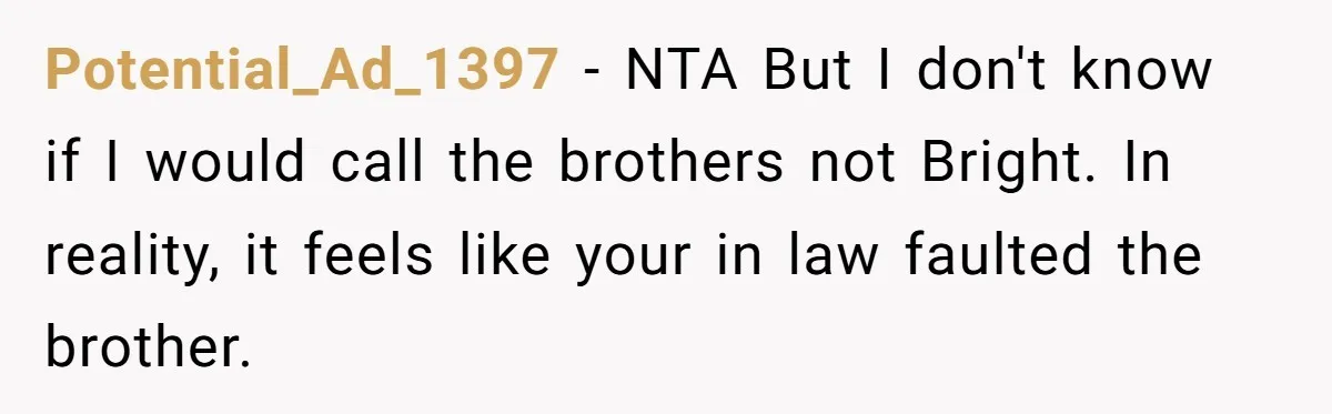 Potential_Ad_1397 − NTA But I don't know if I would call the brothers not Bright. In reality, it feels like your in law faulted the brother.