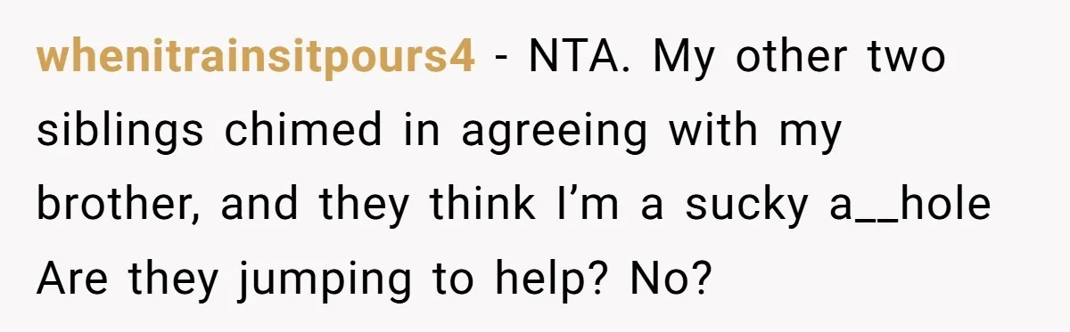 whenitrainsitpours4 − NTA. My other two siblings chimed in agreeing with my brother, and they think I’m a sucky a__hole Are they jumping to help? No?