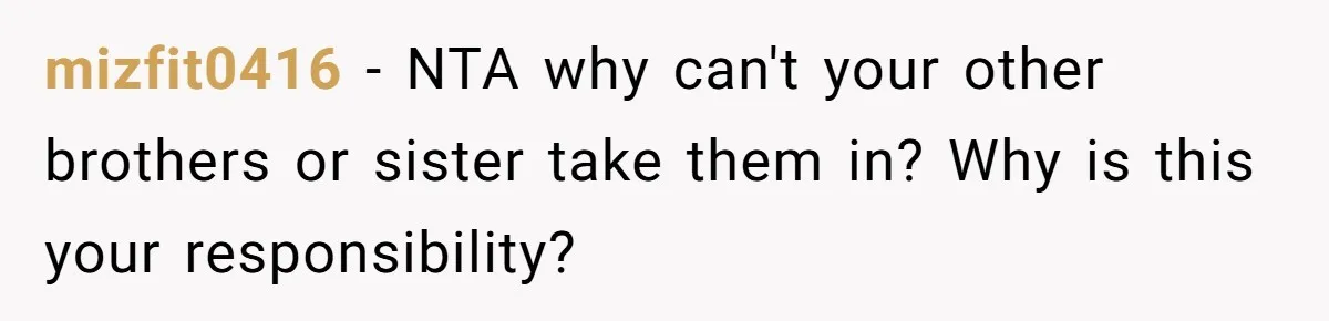 mizfit0416 − NTA why can't your other brothers or sister take them in? Why is this your responsibility?