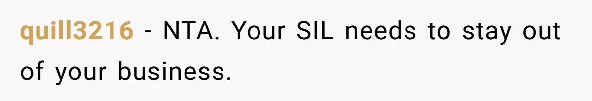 quill3216 − NTA. Your SIL needs to stay out of your business.
