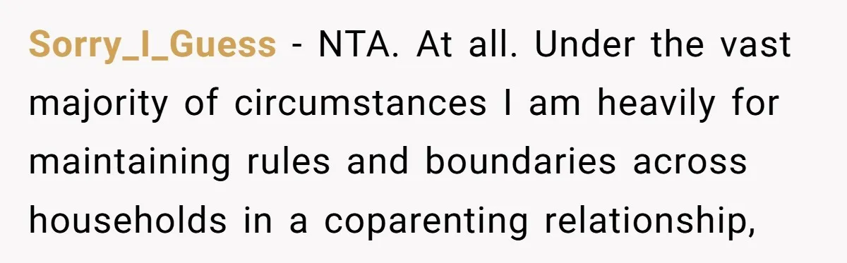Sorry_I_Guess - NTA. At all. Under the vast majority of circumstances I am heavily for maintaining rules and boundaries across households in a coparenting relationship,