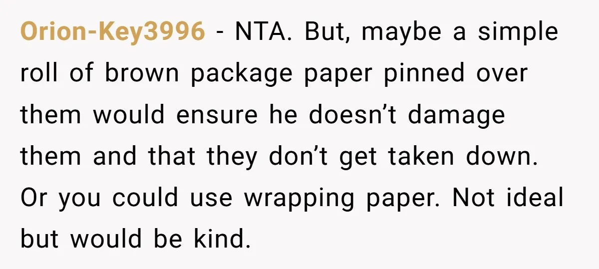 Orion-Key3996 − NTA. But, maybe a simple roll of brown package paper pinned over them would ensure he doesn’t damage them and that they don’t get taken down. Or you...