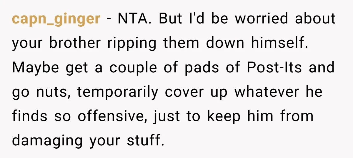 capn_ginger − NTA. But I'd be worried about your brother ripping them down himself. Maybe get a couple of pads of Post-Its and go nuts, temporarily cover up whatever he...