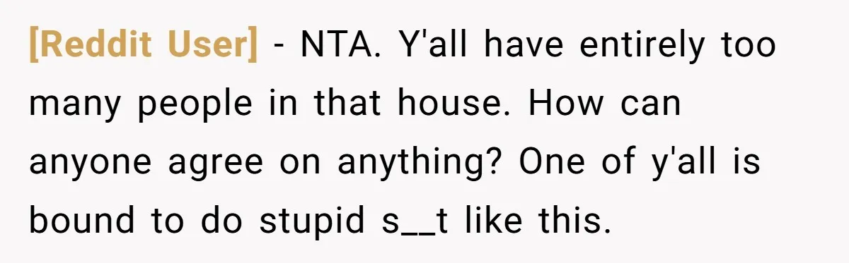 [Reddit User] - NTA. Y'all have entirely too many people in that house. How can anyone agree on anything? One of y'all is bound to do stupid s__t like this.
