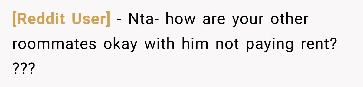 [Reddit User] - Nta- how are your other roommates okay with him not paying rent? ???