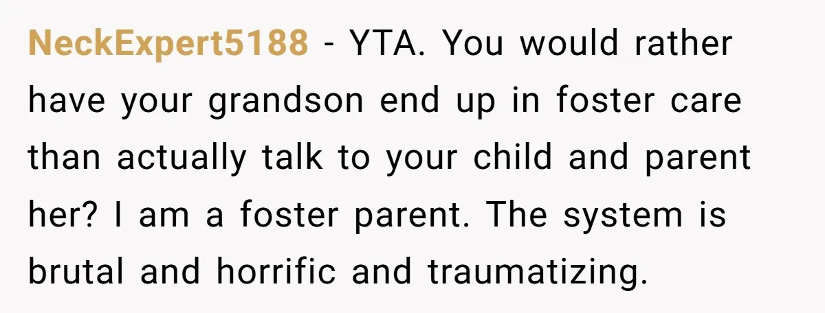 NeckExpert5188 - YTA. You would rather have your grandson end up in foster care than actually talk to your child and parent her? I am a foster parent. The system...