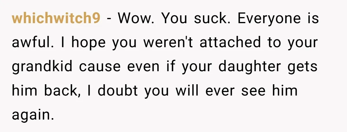 whichwitch9 - Wow. You suck. Everyone is awful. I hope you weren't attached to your grandkid cause even if your daughter gets him back, I doubt you will ever see...