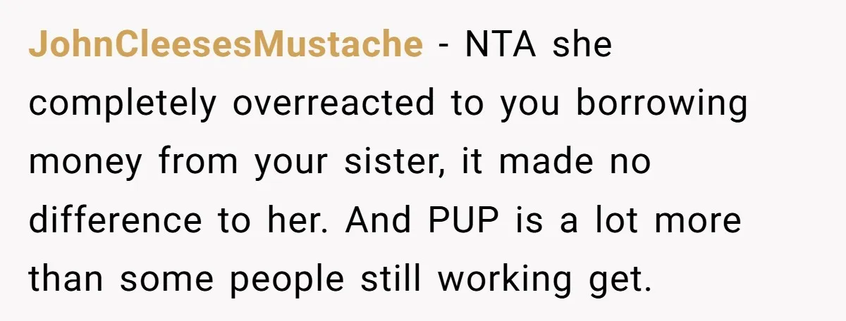 JohnCleesesMustache − NTA she completely overreacted to you borrowing money from your sister, it made no difference to her. And PUP is a lot more than some people still working...