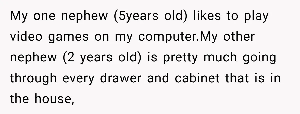 My one nephew (5years old) likes to play video games on my computer.My other nephew (2 years old) is pretty much going through every drawer and cabinet that is in...