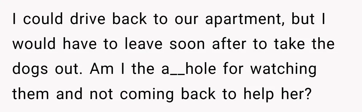 I could drive back to our apartment, but I would have to leave soon after to take the dogs out. Am I the a__hole for watching them and not coming...