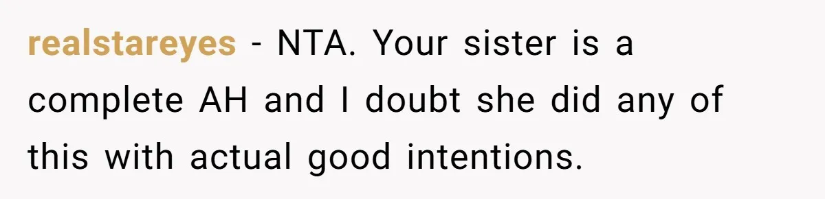 realstareyes − NTA. Your sister is a complete AH and I doubt she did any of this with actual good intentions.