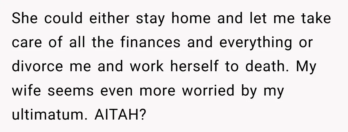She could either stay home and let me take care of all the finances and everything or divorce me and work herself to death. My wife seems even more worried...
