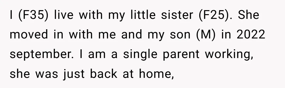 I (F35) live with my little sister (F25). She moved in with me and my son (M) in 2022 september. I am a single parent working, she was just back...