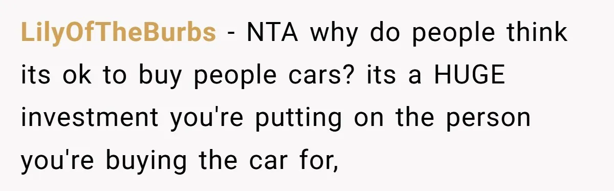 LilyOfTheBurbs − NTA why do people think its ok to buy people cars? its a HUGE investment you're putting on the person you're buying the car for,