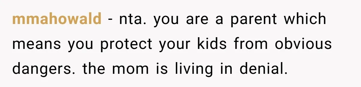 mmahowald − nta. you are a parent which means you protect your kids from obvious dangers. the mom is living in denial.
