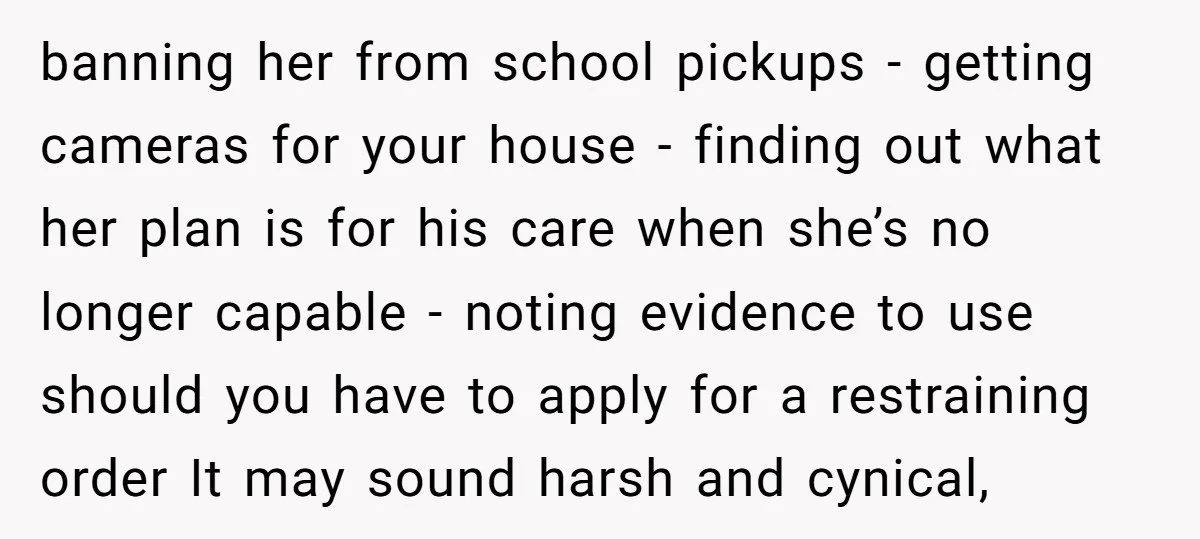 banning her from school pickups - getting cameras for your house - finding out what her plan is for his care when she’s no longer capable - noting evidence to...