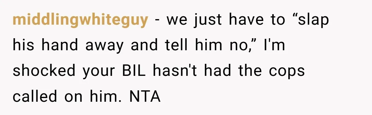middlingwhiteguy − we just have to “slap his hand away and tell him no,” I'm shocked your BIL hasn't had the cops called on him. NTA