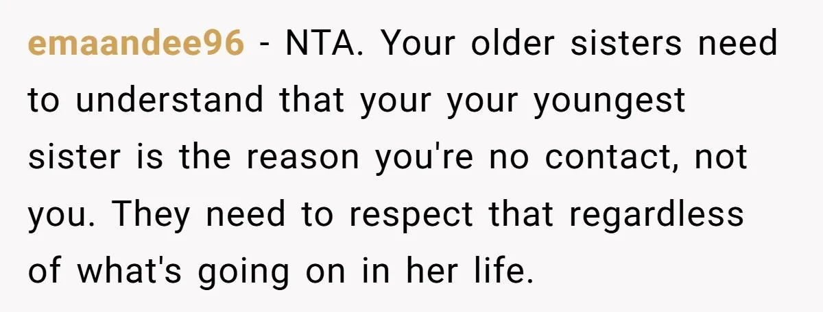emaandee96 - NTA. Your older sisters need to understand that your your youngest sister is the reason you're no contact, not you. They need to respect that regardless of what's...