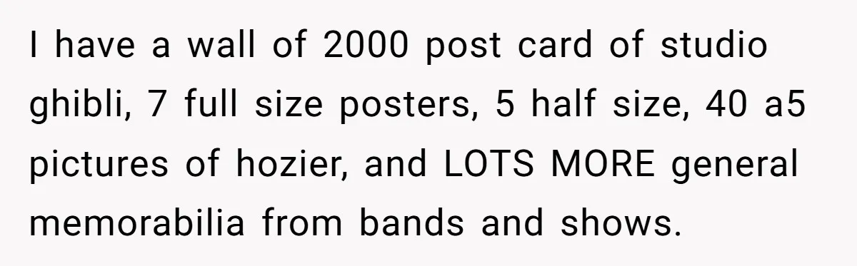I have a wall of 2000 post card of studio ghibli, 7 full size posters, 5 half size, 40 a5 pictures of hozier, and LOTS MORE general memorabilia from bands...
