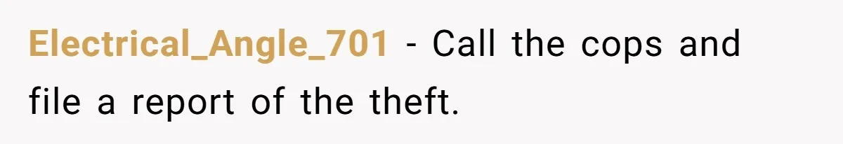 Electrical_Angle_701 − Call the cops and file a report of the theft.