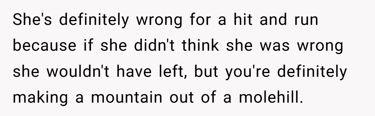 She's definitely wrong for a hit and run because if she didn't think she was wrong she wouldn't have left, but you're definitely making a mountain out of a molehill.