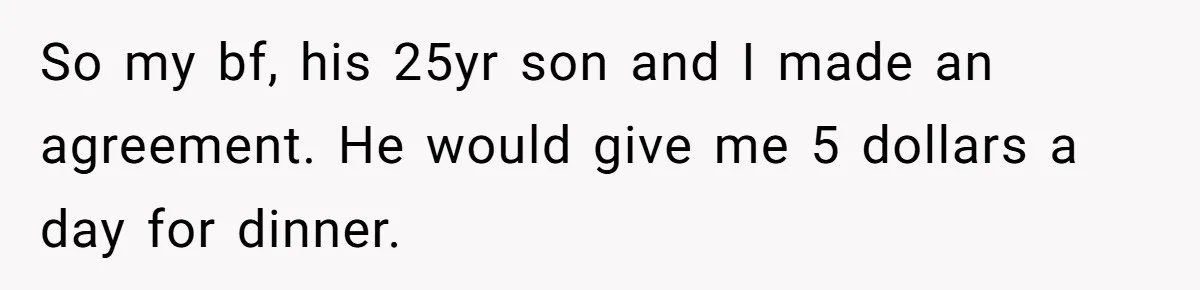 So my bf, his 25yr son and I made an agreement. He would give me 5 dollars a day for dinner.