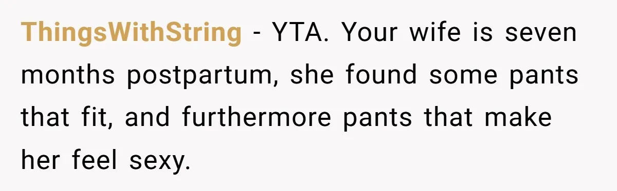 ThingsWithString − YTA. Your wife is seven months postpartum, she found some pants that fit, and furthermore pants that make her feel sexy.