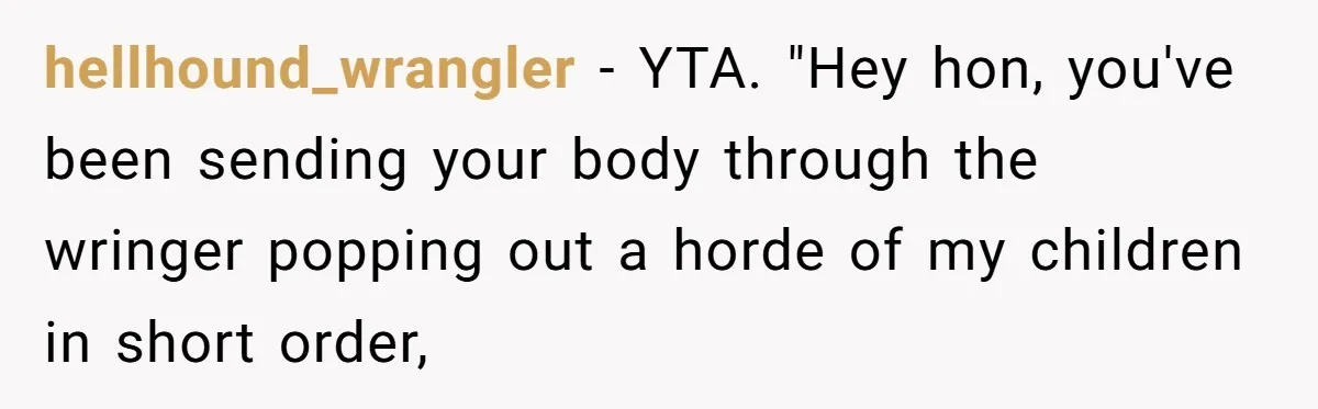 hellhound_wrangler − YTA. "Hey hon, you've been sending your body through the wringer popping out a horde of my children in short order,