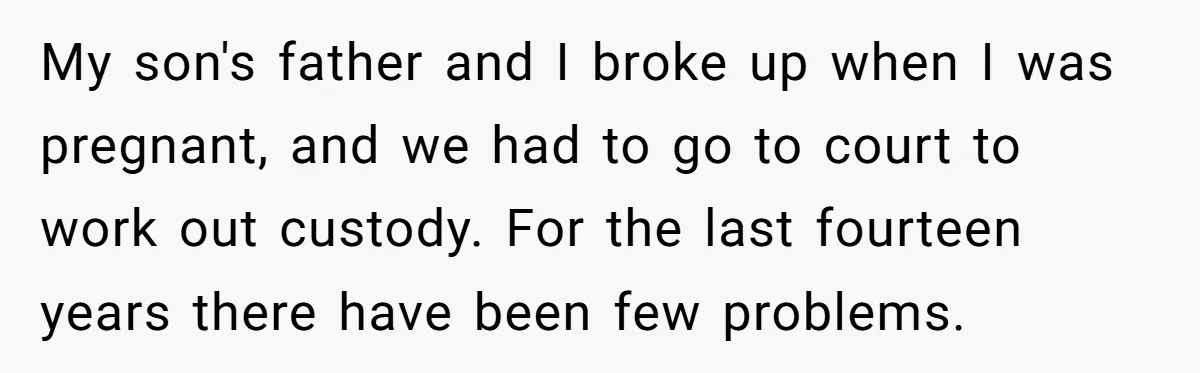 My son's father and I broke up when I was pregnant, and we had to go to court to work out custody. For the last fourteen years there have been...