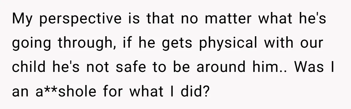 My perspective is that no matter what he's going through, if he gets physical with our child he's not safe to be around him.. Was I an a**shole for what...