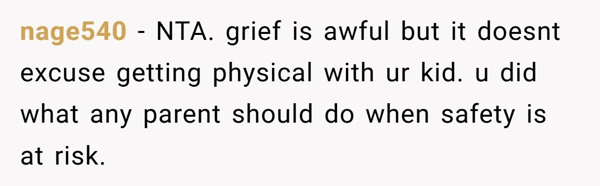 nage540 − NTA. grief is awful but it doesnt excuse getting physical with ur kid. u did what any parent should do when safety is at risk.