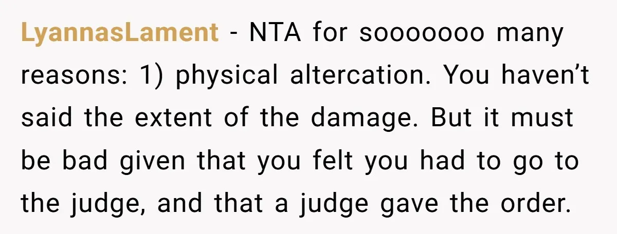 LyannasLament − NTA for sooooooo many reasons: 1) physical altercation. You haven’t said the extent of the damage. But it must be bad given that you felt you had to...