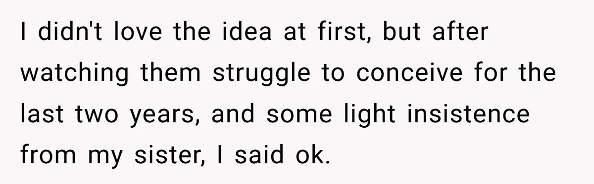 I didn't love the idea at first, but after watching them struggle to conceive for the last two years, and some light insistence from my sister, I said ok.