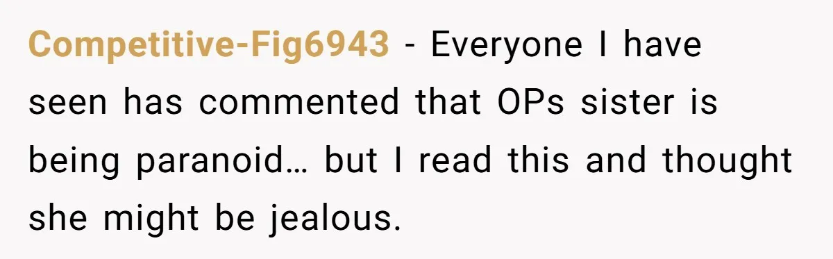 Competitive-Fig6943 − Everyone I have seen has commented that OPs sister is being paranoid… but I read this and thought she might be jealous.