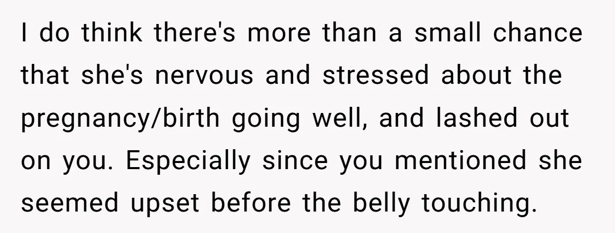 I do think there's more than a small chance that she's nervous and stressed about the pregnancy/birth going well, and lashed out on you. Especially since you mentioned she seemed...