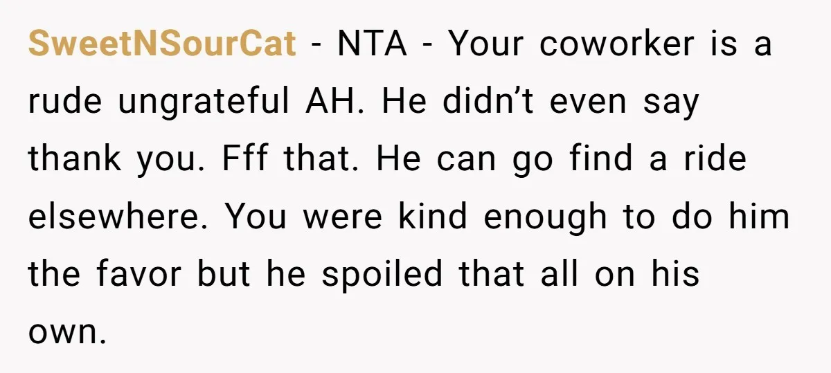 SweetNSourCat − NTA - Your coworker is a rude ungrateful AH. He didn’t even say thank you. Fff that. He can go find a ride elsewhere. You were kind enough...