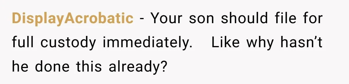 DisplayAcrobatic − Your son should file for full custody immediately.   Like why hasn’t he done this already?