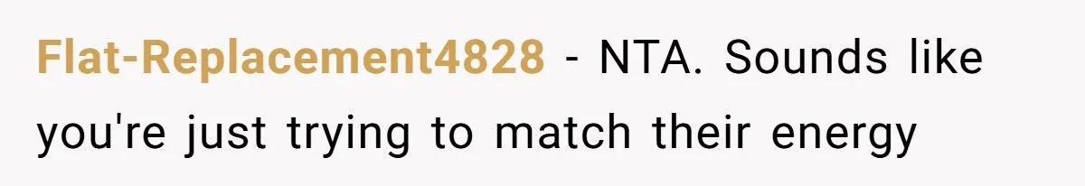 Flat-Replacement4828 − NTA. Sounds like you're just trying to match their energy