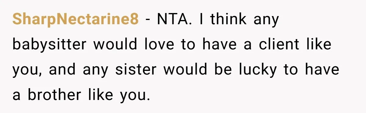 SharpNectarine8 − NTA. I think any babysitter would love to have a client like you, and any sister would be lucky to have a brother like you.