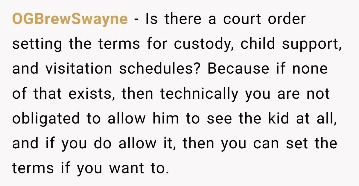 OGBrewSwayne - Is there a court order setting the terms for custody, child support, and visitation schedules? Because if none of that exists, then technically you are not obligated to...