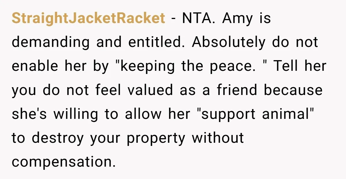 StraightJacketRacket - NTA. Amy is demanding and entitled. Absolutely do not enable her by "keeping the peace. " Tell her you do not feel valued as a friend because she's...