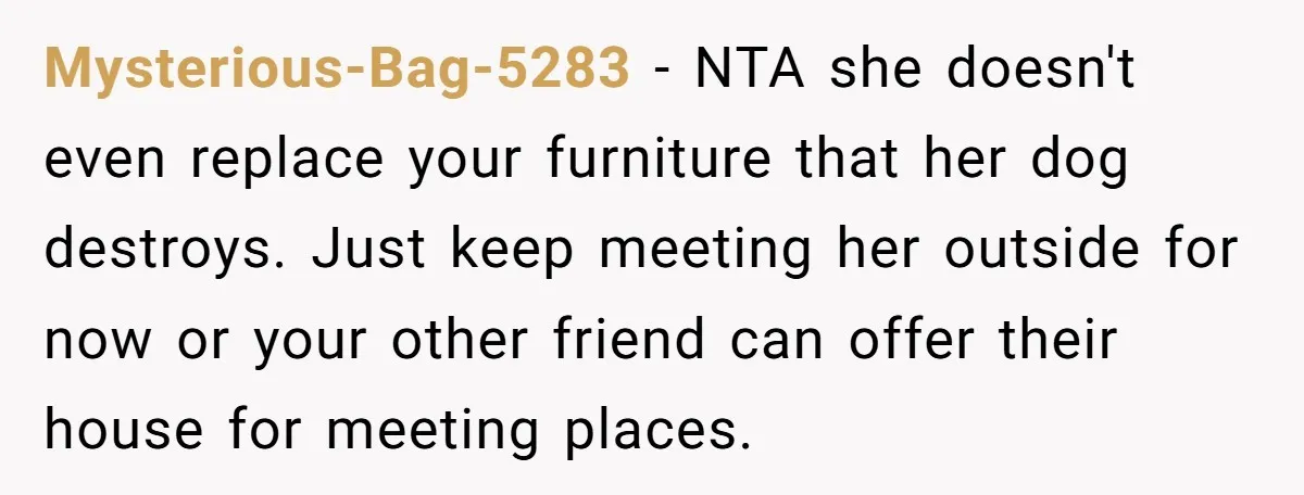 Mysterious-Bag-5283 - NTA she doesn't even replace your furniture that her dog destroys. Just keep meeting her outside for now or your other friend can offer their house for meeting...