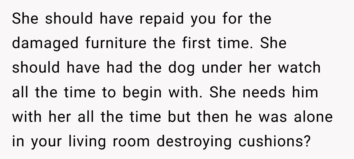 She should have repaid you for the damaged furniture the first time. She should have had the dog under her watch all the time to begin with. She needs him...
