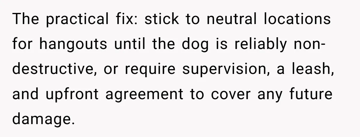 The practical fix: stick to neutral locations for hangouts until the dog is reliably non-destructive, or require supervision, a leash, and upfront agreement to cover any future damage.